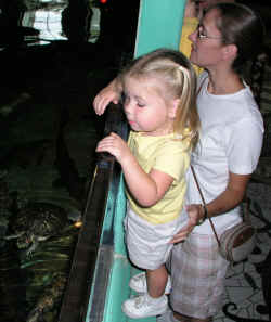 Noelle_mom_watch_turtle.jpg (477227 bytes)